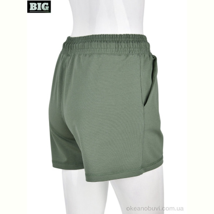 Шорты BIG 4042-3 green