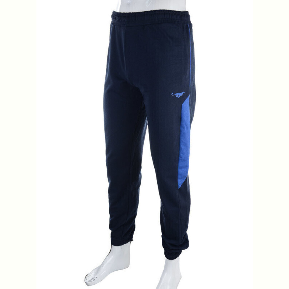 Спортивные брюки Red Hat 1569 blue Спортивные брюки Red Hat 1569 blue