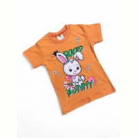 Футболка Kids-modnik 117-3 помаранчевий