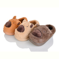 Тапки SANLIN 2 C4141 mix