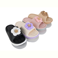 Шлепки Alex XR55 mix