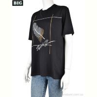 Футболка BIG 4049-03-1 black