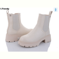 Ботинки Trendy B0001-1