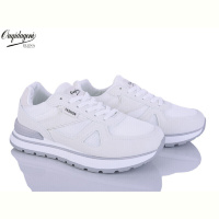 Кроссовки Dageni C889-2