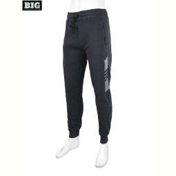 Спортивные брюки BIG CS404-2-150 grey
