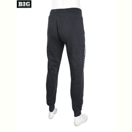Спортивные брюки BIG CS404-2-150 grey