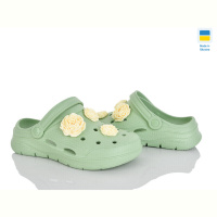 Кроксы Golden Lion 411 фісташки