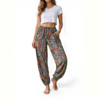 Брюки Riza 235 мікс