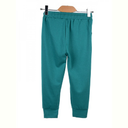 Спортивные штаны DIYA 566 green