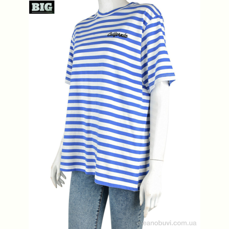 Футболка BIG 4049-12-3 blue