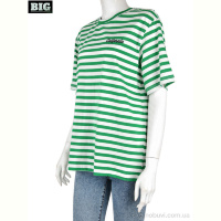 Футболка BIG 4049-12-4 green