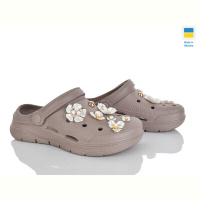 Кроксы Golden Lion 413 капучино