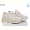 Кроссовки ITTS MT67-3