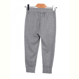 Спортивные штаны DIYA 8012 l.grey