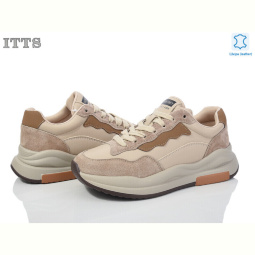 Кроссовки ITTS MX6603-8