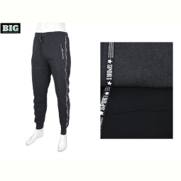 Спортивные брюки BIG 6121-144 mix