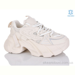 Кроссовки Teetspace-Trasta-Egga WDP1810-118