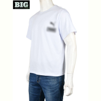 Футболка BIG 4053-P1 white