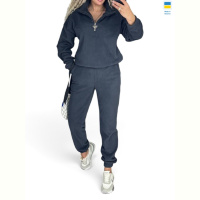 Спортивный костюм Alisa Brand 214 графіт