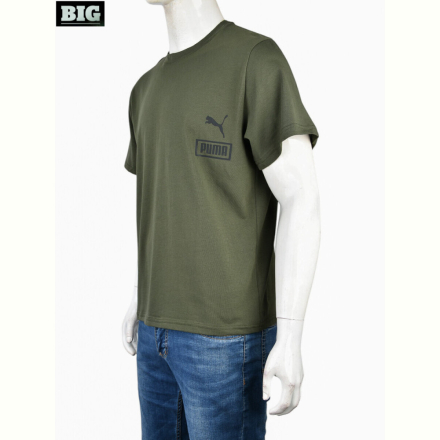 Футболка BIG 4053-P2 green