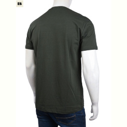 Футболка BIG 3707-0072-1 green