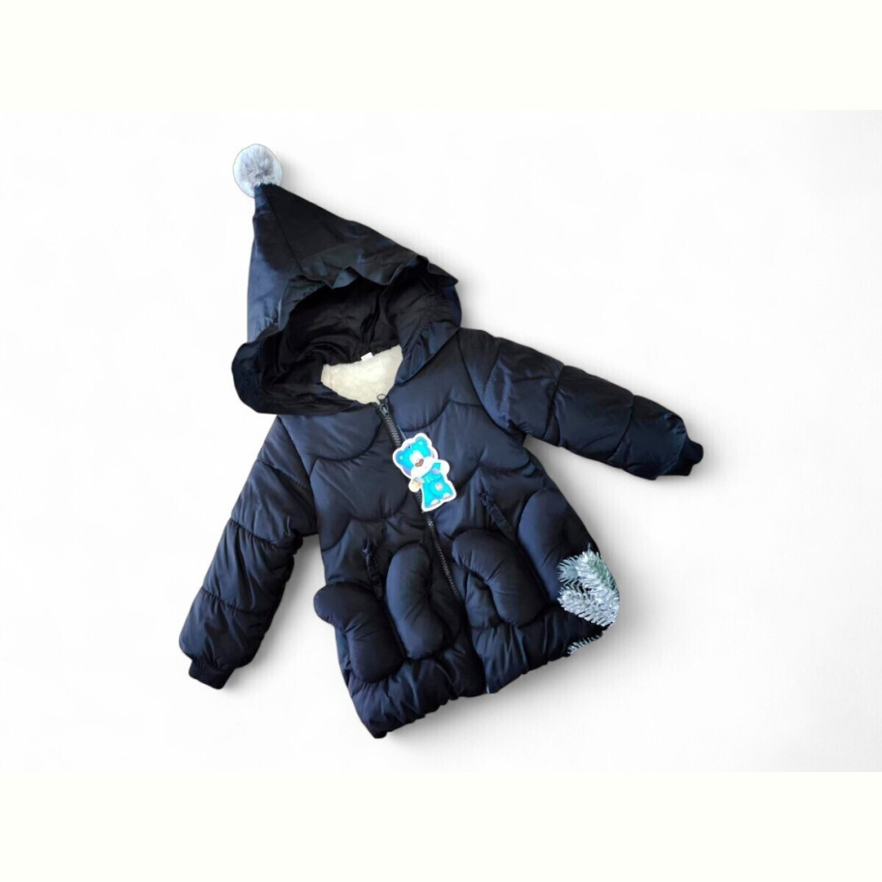 Куртка Kids-modnik F153 чорний єврозима