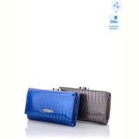 Кошелек GLAMORTA AE711-H09 blue