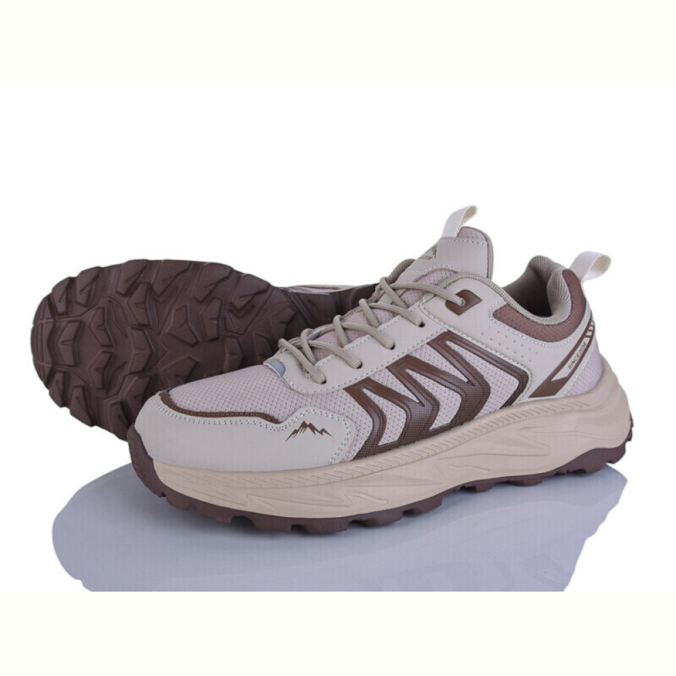 Кроссовки Lion-Lu A0040-2