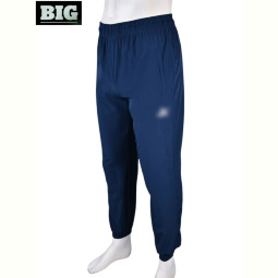 Спортивные брюки BIG 4033-A05-2 navy