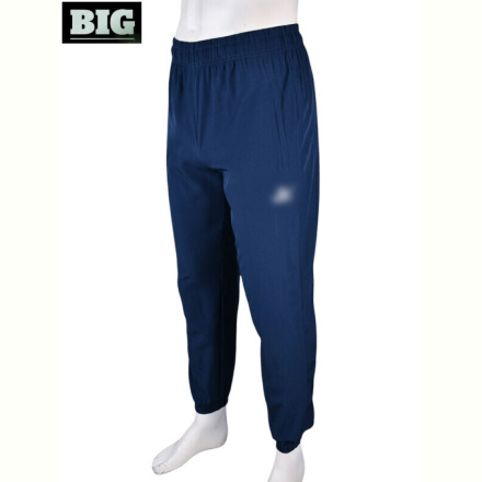 Спортивные брюки BIG 4033-A05-2 navy