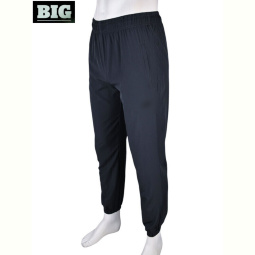Спортивные брюки BIG 4033-A05-3 grey