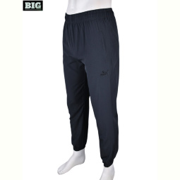 Спортивные брюки BIG 4033-A05-3 grey