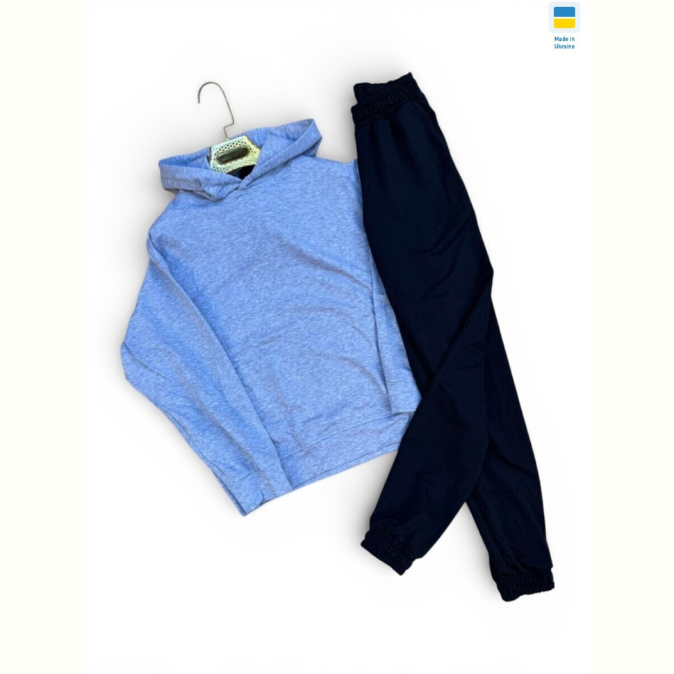 Спортивный костюм Sport style 115-1023 св.сірий з чорним-old