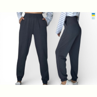 Спортивные брюки Sport style 1055 т.графіт