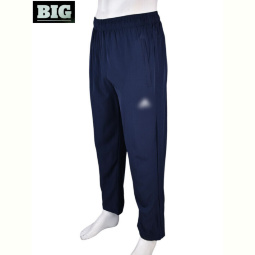 Спортивные брюки BIG 4034-A07-2 navy