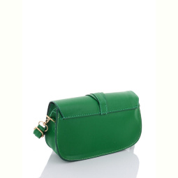 Сумка David Polo 2121-9 green