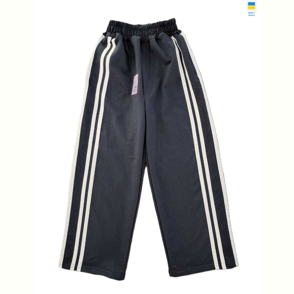 Спортивные брюки Kir15 81 сірий