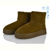 Угги Захар-Gold L956-9