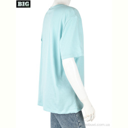 Футболка BIG 4049-05-5 l.blue