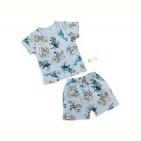 Костюм Kids-modnik 2619 комплект футболка-шорти сірий