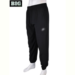 Спортивные брюки BIG 4034-A08-1 black
