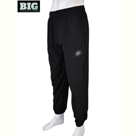 Спортивные брюки BIG 4034-A08-1 black