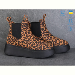 Ботинки Ailinda 921-13M