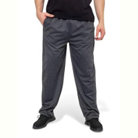 Спортивные брюки Riza 184 сірий