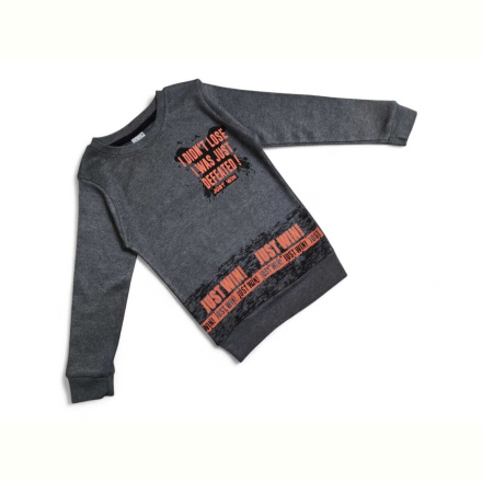 Батник Kids-modnik 2030 сірий