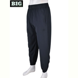 Спортивные брюки BIG 4034-A08-3 grey