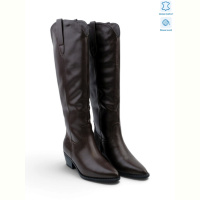 Сапоги Allshoes 221019