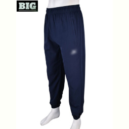 Спортивные брюки BIG 4034-A14-2 navy