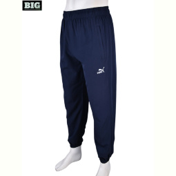Спортивные брюки BIG 4034-A14-2 navy