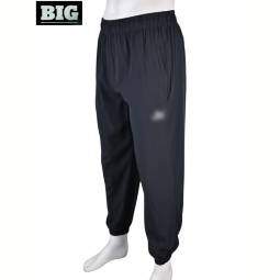 Спортивные брюки BIG 4034-A14-3 grey